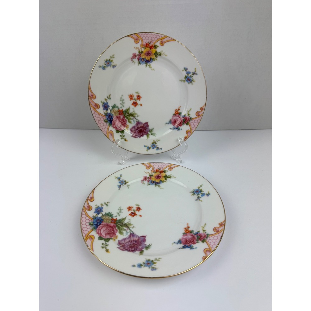 Vintage Epiag Czechoslovakia Floral Porcelain Plates Pink Honeycomb Gold Rim 2pc